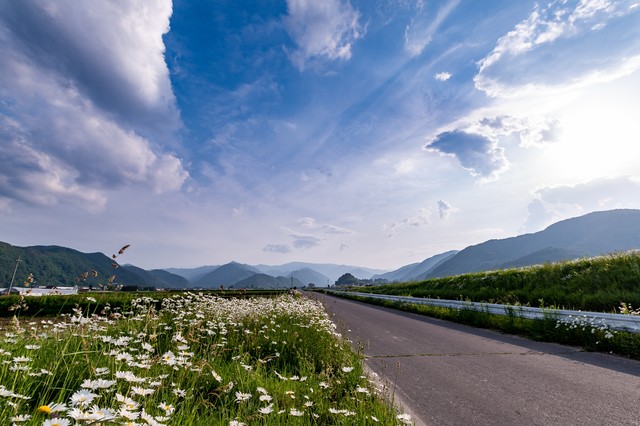 f:id:cl-kimura:20191103013622j:plain f:id:cl-kimura:20191103013622j:plain