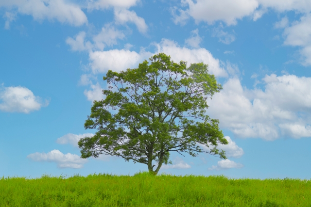f:id:cl-kimura:20191031170805j:plain